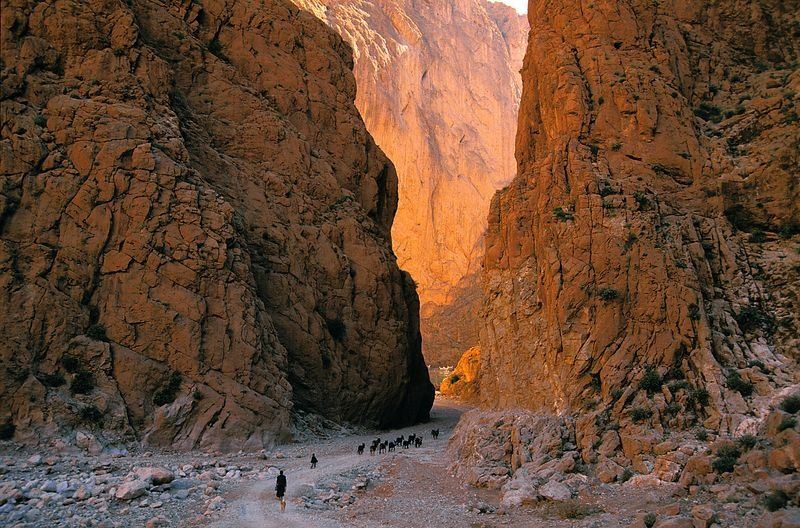 Todra Gorge - Morocco Tourism Trips - Traveling to Morocco